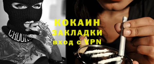 стафф Заполярный