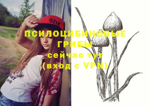 эйфоретик Володарск