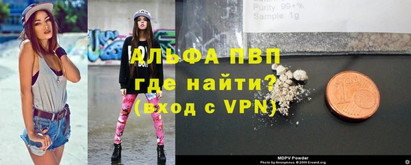 стафф Заполярный